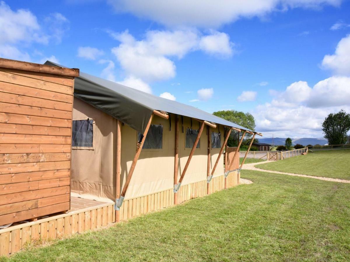 Carr'S Hill Luxury Safari Tents Denny Ngoại thất bức ảnh